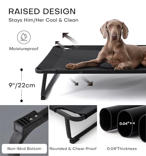 Elevated Dog Bed with Washable Mesh Hammock C837503