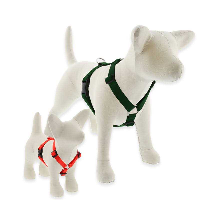 Dog Harness T632726