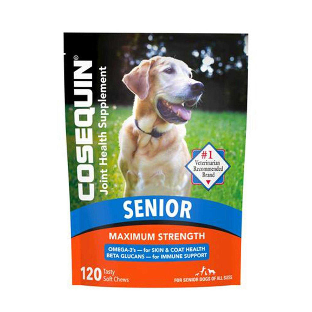 Joint Health Supplement for Senior Dogs H31043