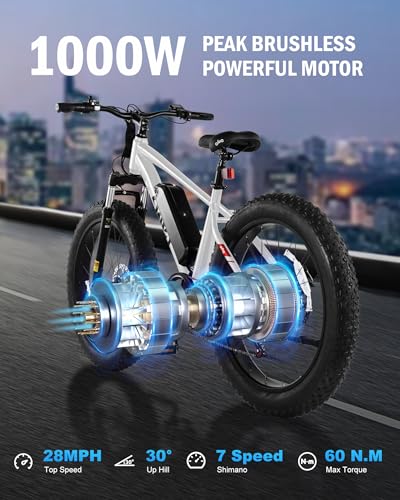 26x4.0 Fat Tire Electric Mountain Bike with 48V 13AH Battery P987