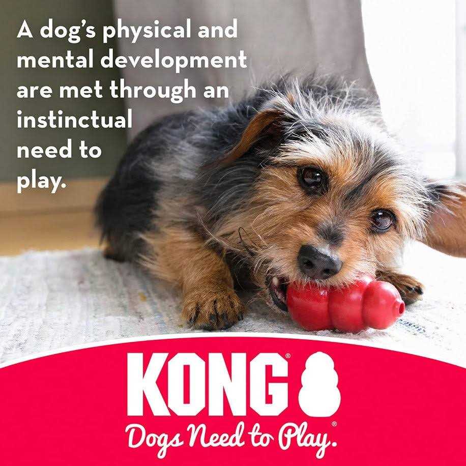 Dog Toy H1000