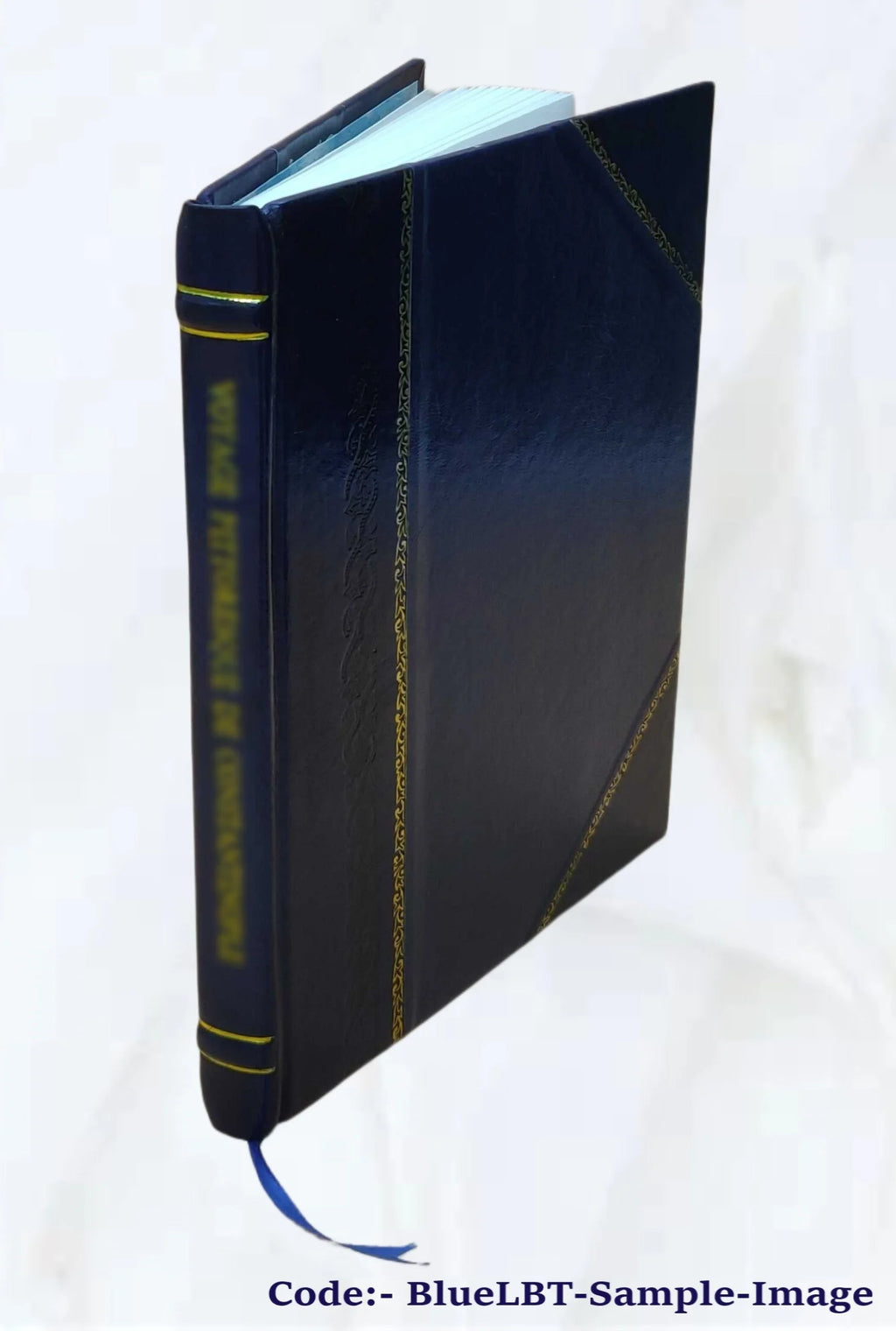 Leather Bound Book I63856