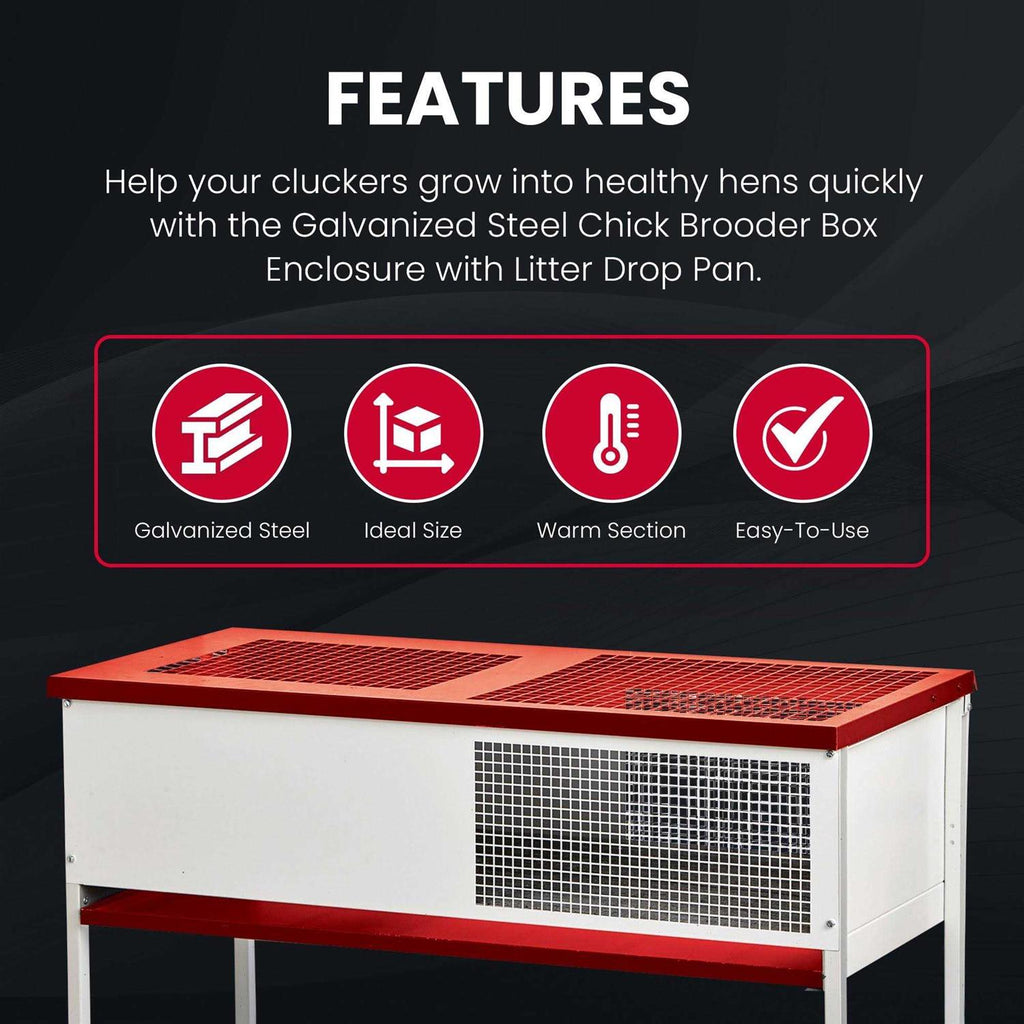 Galvanized Chick Brooder Box E89826