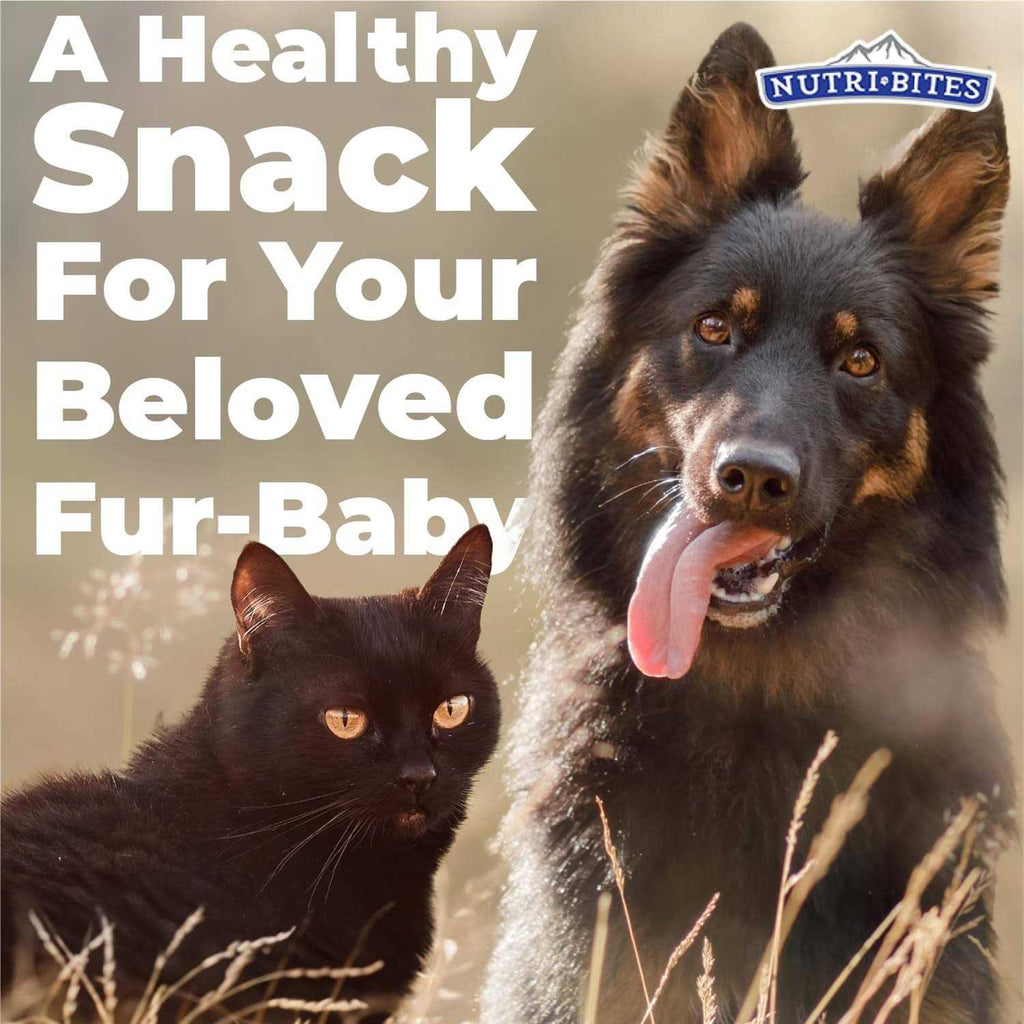 Freeze Dried Beef Liver Dog & Cat Treats M9710