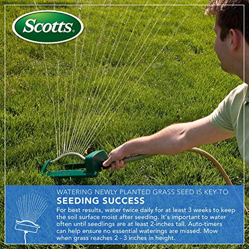 Grass Seed, Fertilizer, and Soil Improver for Tall Fescue, 4,000 sq. ft., 40 lbs. W3437