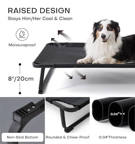 Elevated Dog Bed with Washable Mesh Hammock C837503