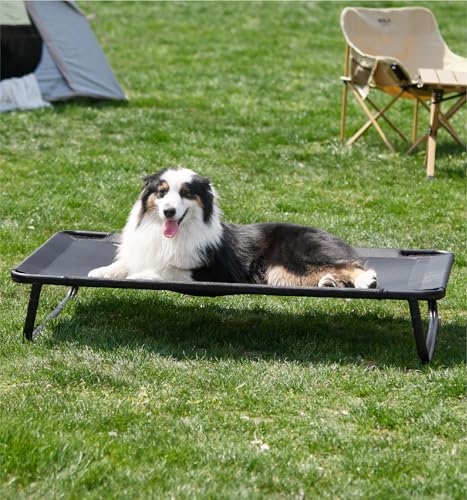 Elevated Dog Bed with Washable Mesh Hammock C837503