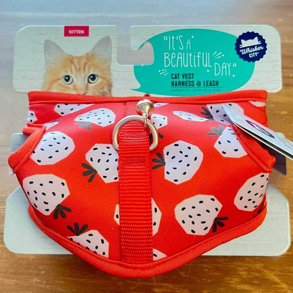 Cat Leash and Harness Combo A2121
