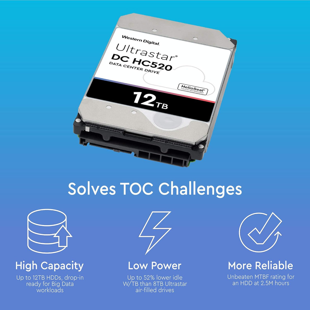 12TB 7.2K SATA 6Gb/s 3.5-Inch Internal Hard Disk Drive E985403