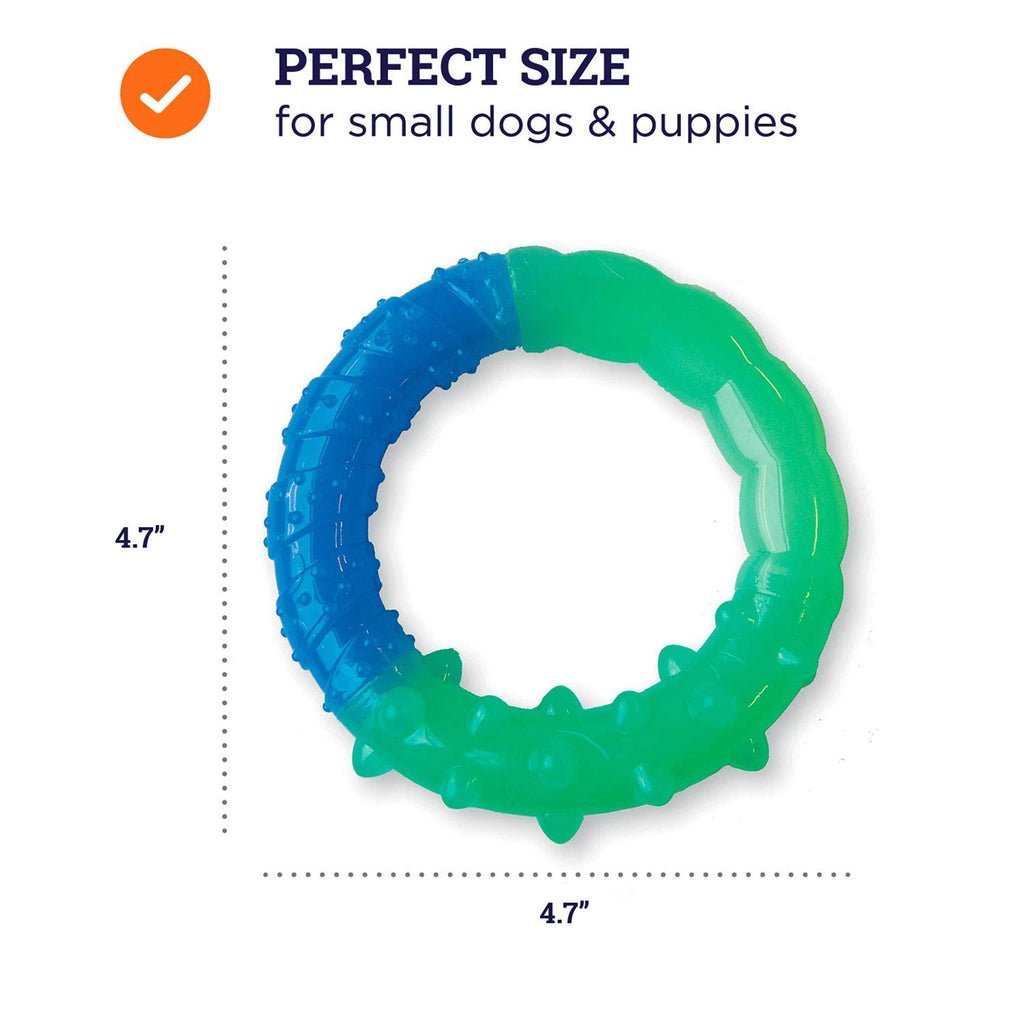 Ring Dog Toy H73579