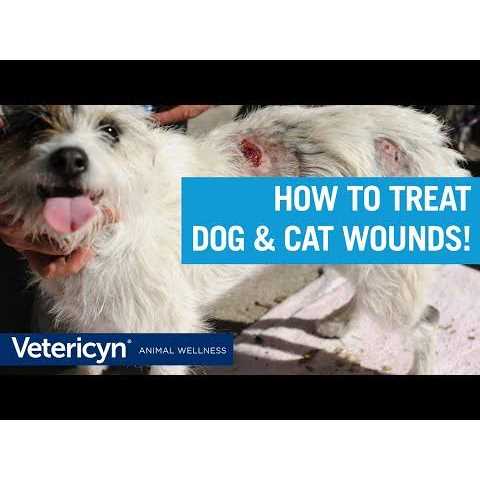 Wound & Skin Care T1428