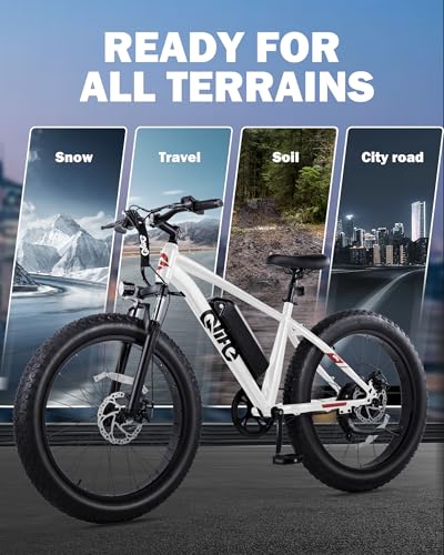 26x4.0 Fat Tire Electric Mountain Bike with 48V 13AH Battery P987