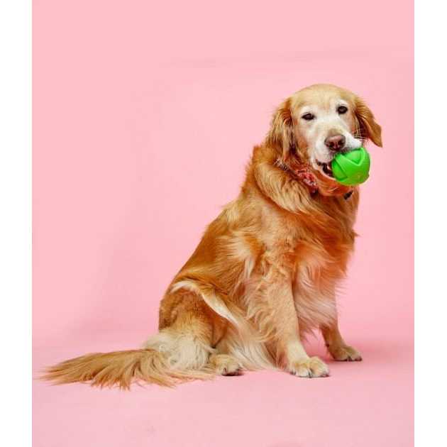 Dura Play Ball Dog Toy M56421