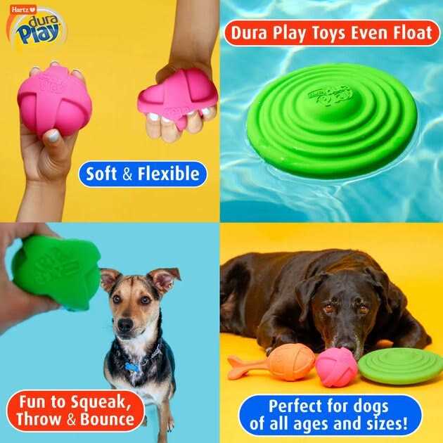 Dura Play Ball Dog Toy M56421