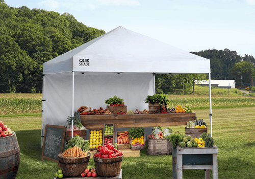 10' x 10' Instant Canopy with Wall Panel, White D63029