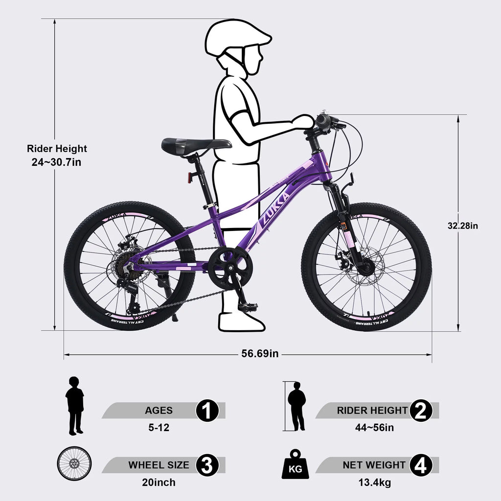 20 inch 7 Speed Kids Mountain Bike with Disc Brakes V867