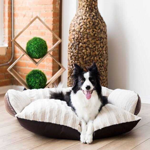 Luxury Pet Couch G717