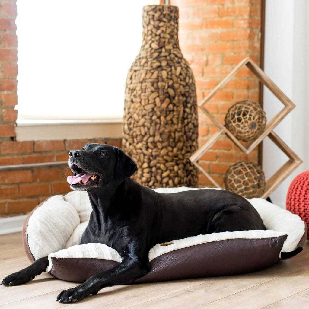 Luxury Pet Couch G717