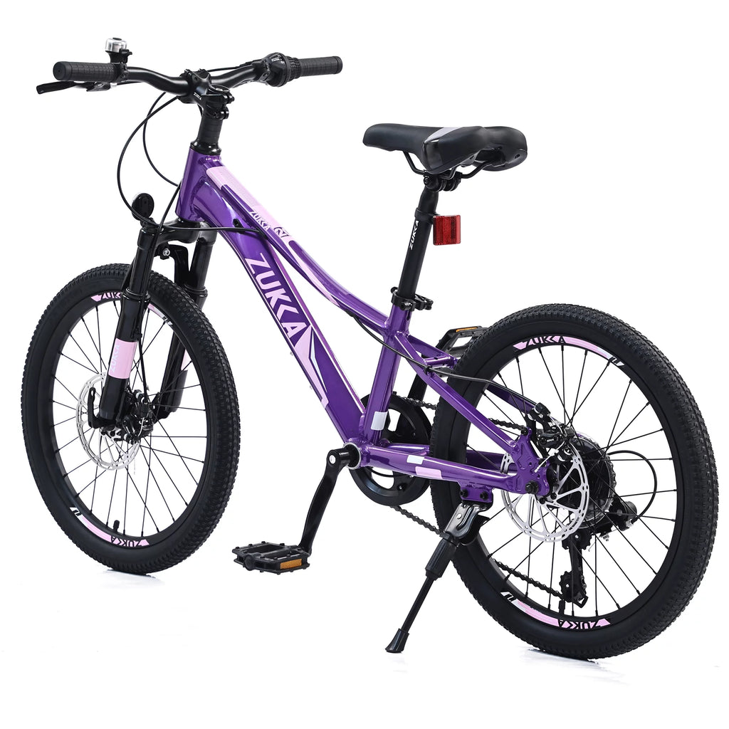 20 inch 7 Speed Kids Mountain Bike with Disc Brakes V867