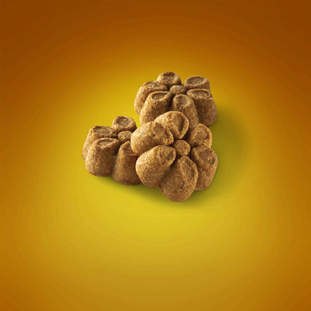 Dog Treats Pumpkin A609