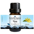 Essential Oil 10ml C97492