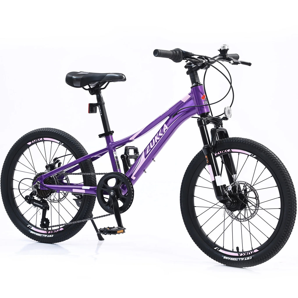 20 inch 7 Speed Kids Mountain Bike with Disc Brakes V867