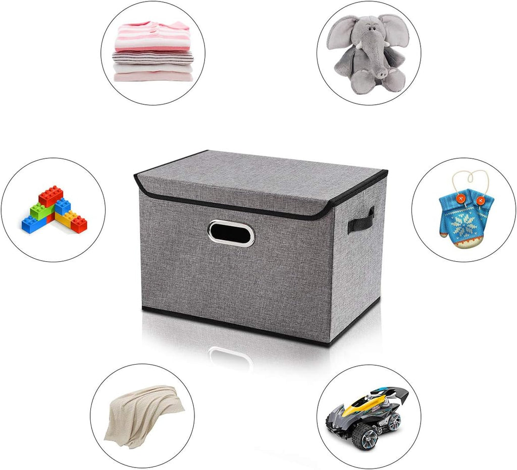 Collapsible Storage Boxes with Lids, Fabric Foldable Storage Container, Pack of 2 L320