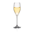 Champagne Flute Set of 6 O96982
