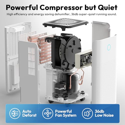 30 Pint Dehumidifier with Drain Hose W800659