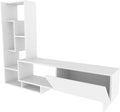 White TV Stand with Shelves for TVs Up to 55 inch H683031