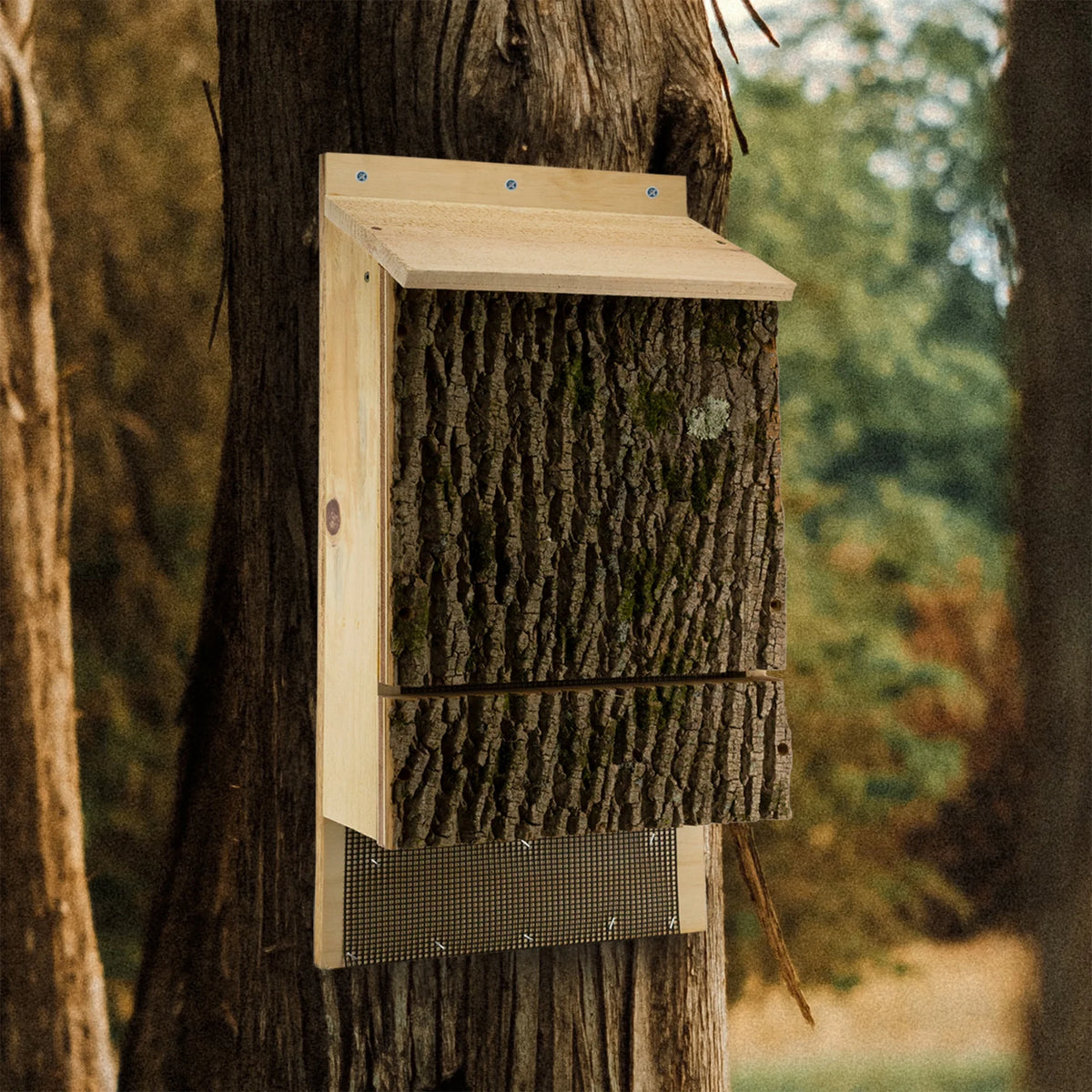 Triple Chamber Bat House J95038
