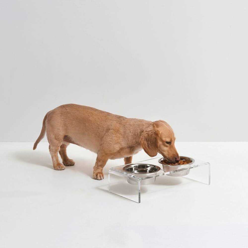 Clear Elevated Glass Bowl Feeder F75894