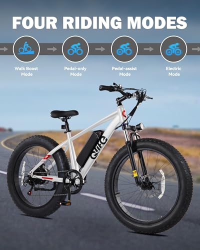 26x4.0 Fat Tire Electric Mountain Bike with 48V 13AH Battery P987