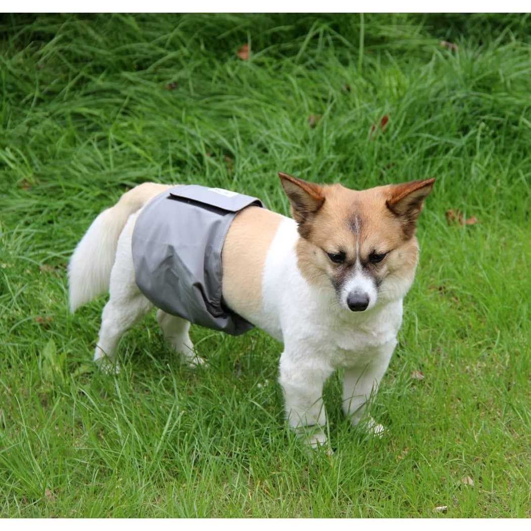 5 Pack Washable Dog Diapers Male L3512