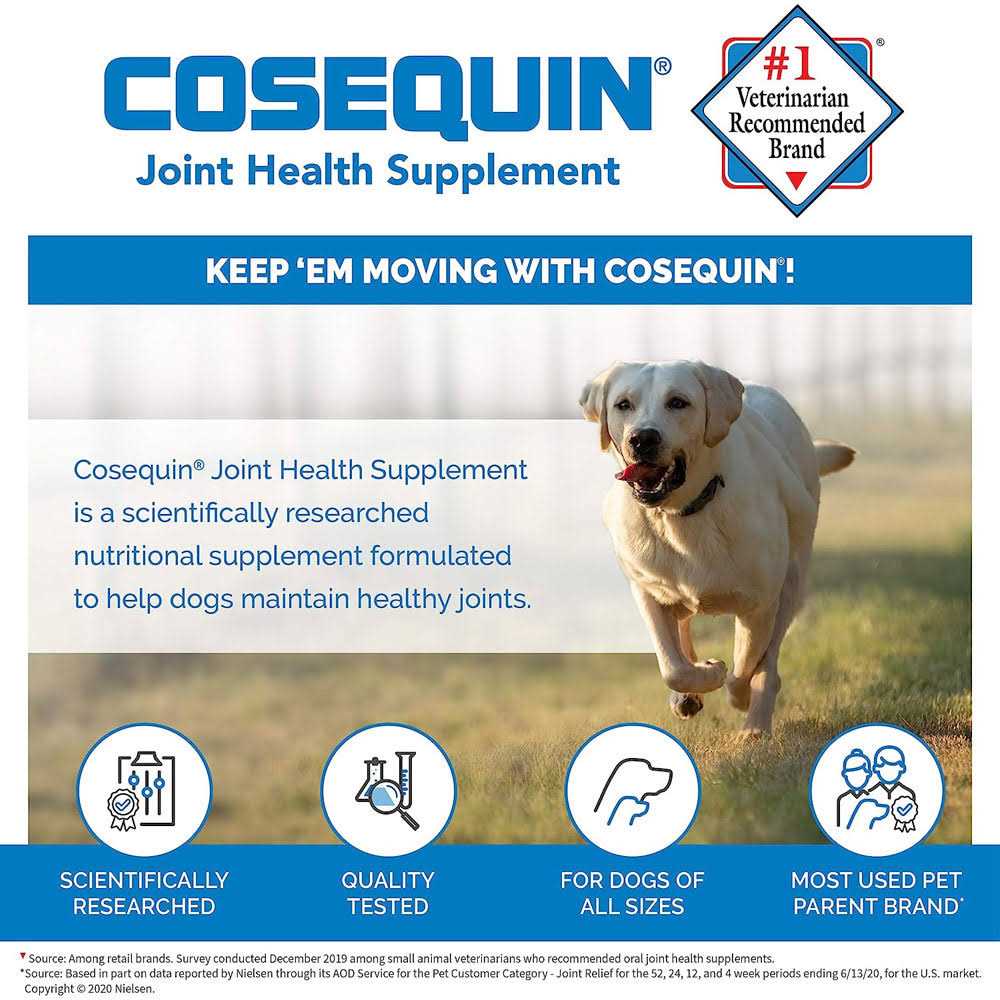 Joint Health Supplement for Senior Dogs H31043
