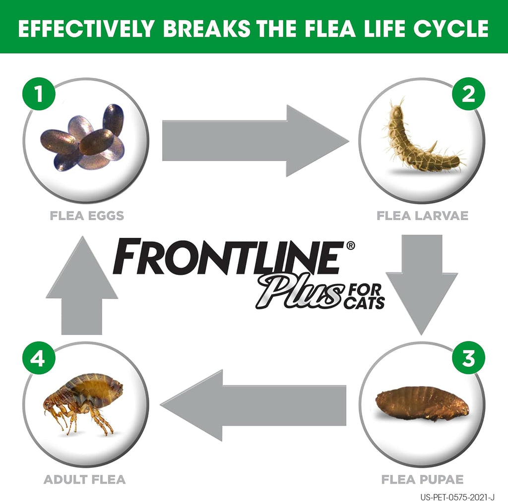 Flea and Tick Treatment for Cats E685