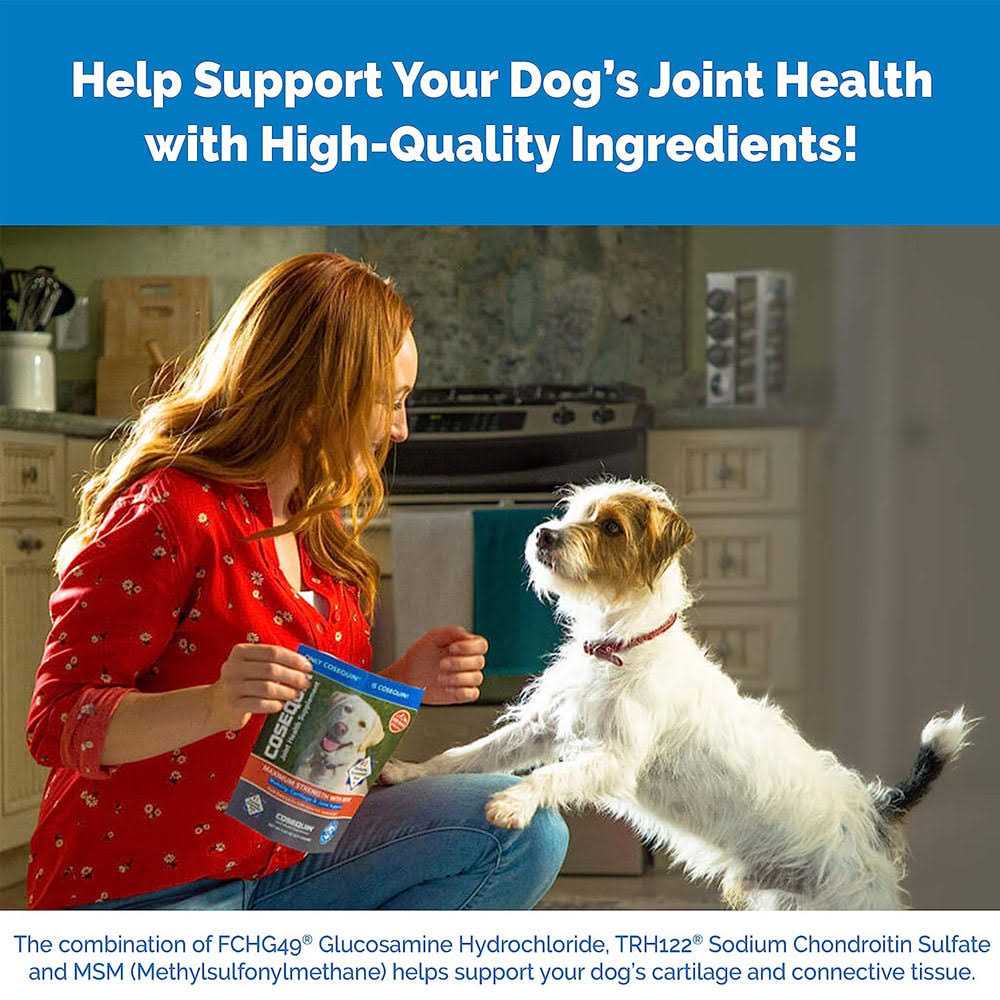 Joint Health Supplement for Senior Dogs H31043