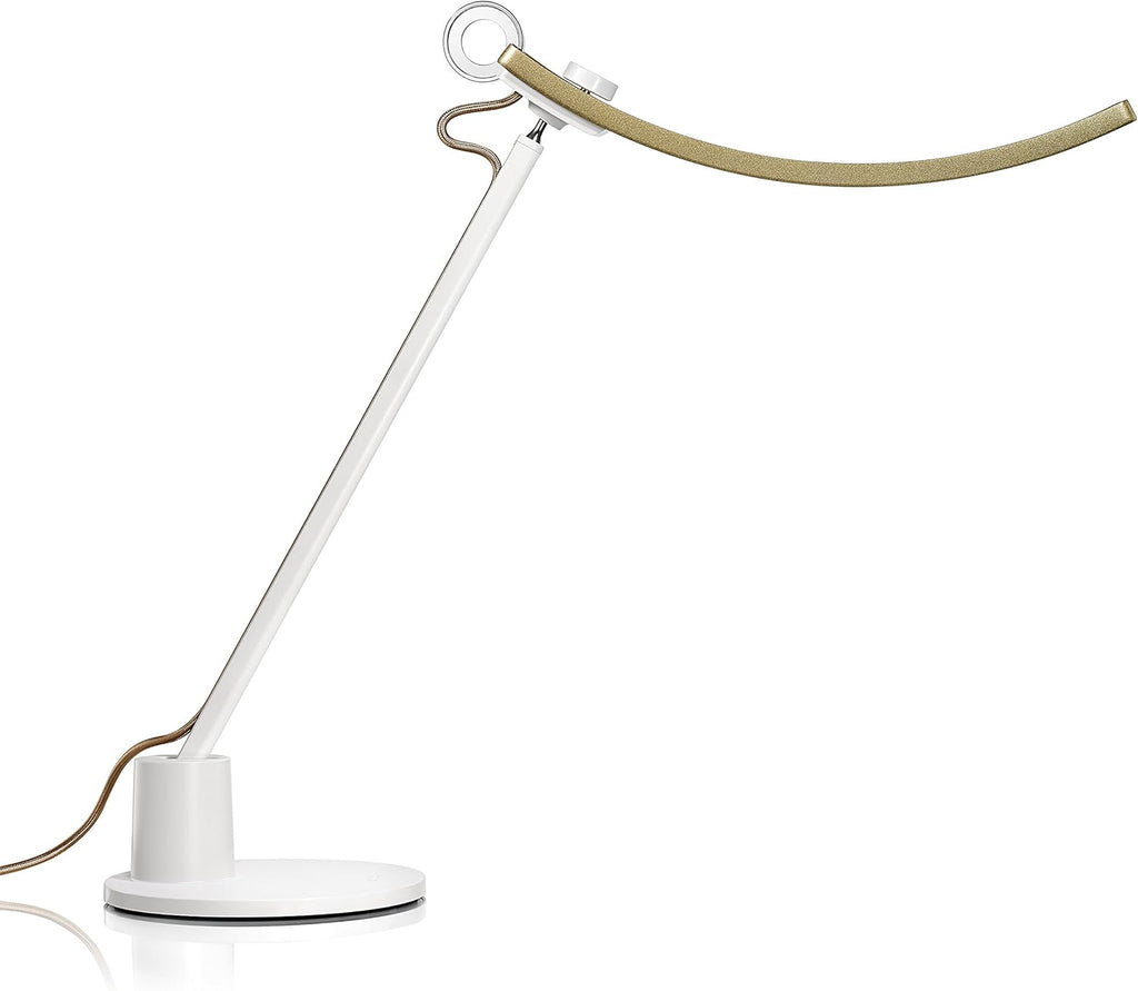 LED Desk Lamp with Swing Arm O870