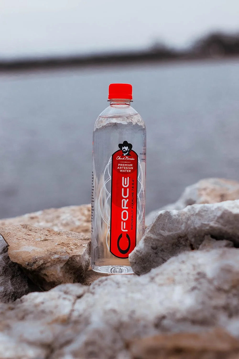 12 Oz 12 Pack Alkaline Water T190