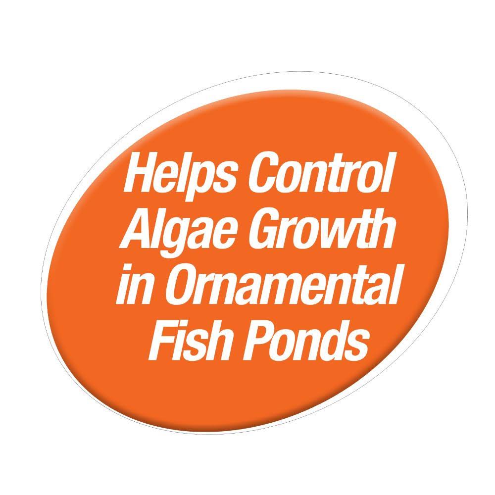 Pond Block 50 Blocks Algae Control K988
