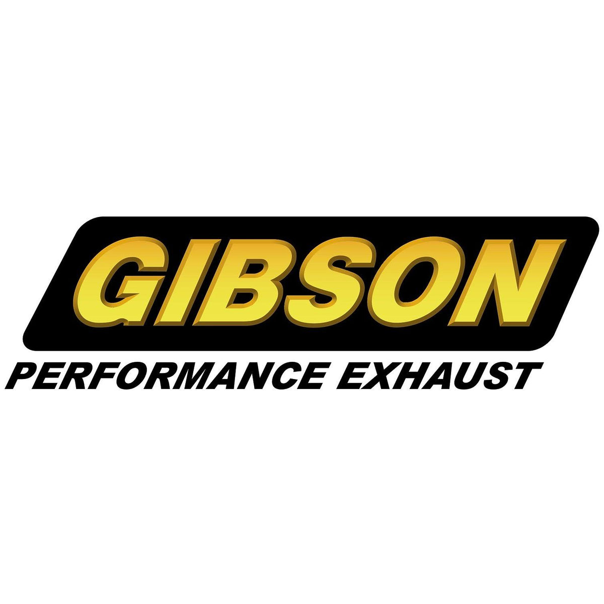 Stainless Dual Split Exhaust System J884
