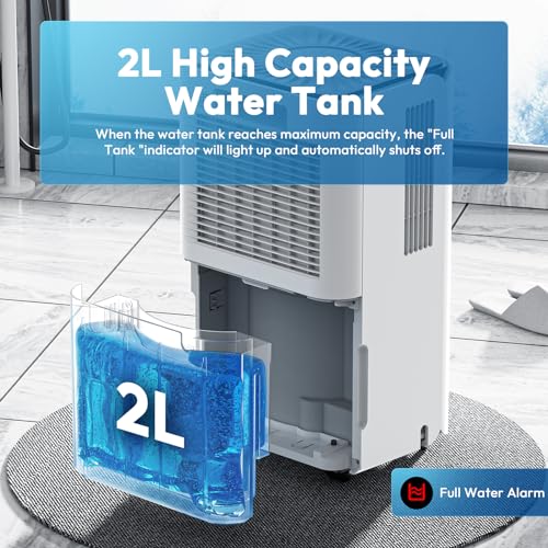 30 Pint Dehumidifier with Drain Hose W800659