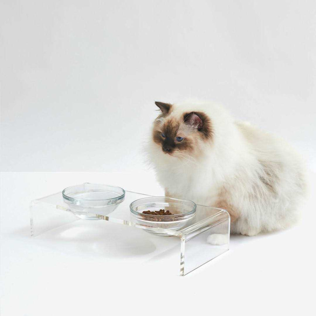Clear Elevated Glass Bowl Feeder F75894
