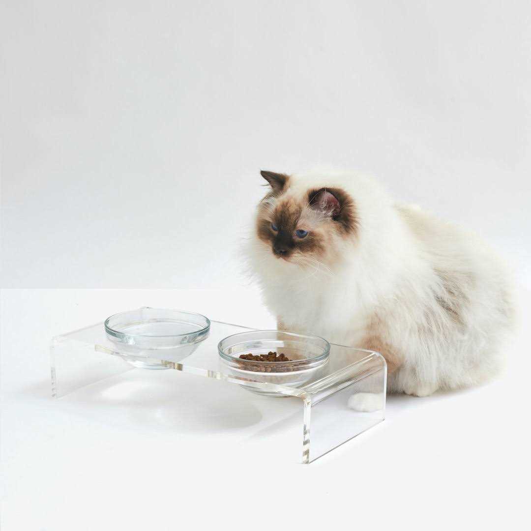 Clear Elevated Glass Bowl Feeder F75894
