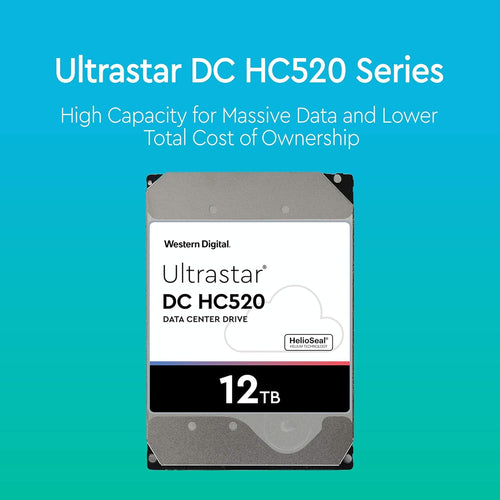 12TB 7.2K SATA 6Gb/s 3.5-Inch Internal Hard Disk Drive E985403