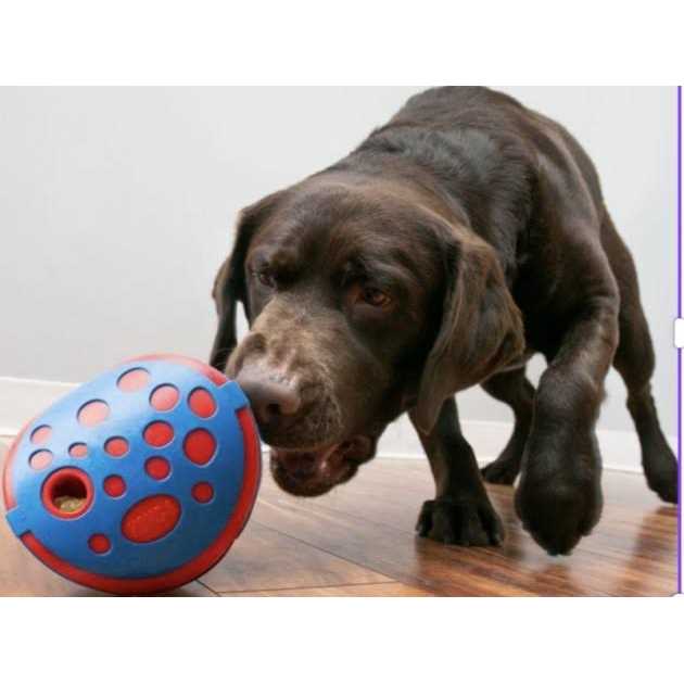 Dog Toy T4408