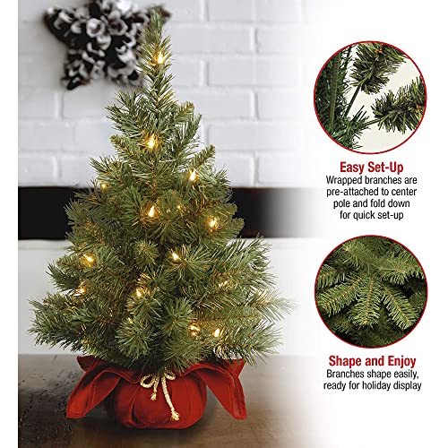 24 in Pre-Lit Artificial Christmas Tree, 35 Clear Lights, Red Cloth Base, Green K395177
