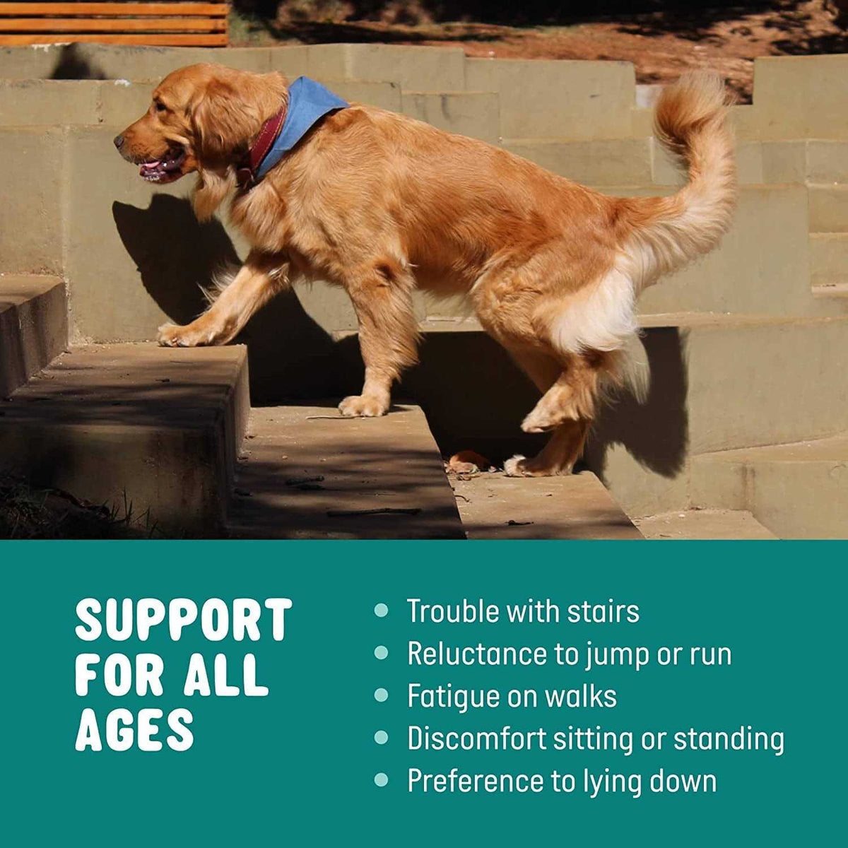 Glucosamine for Dogs Hip and Joint Supplement with Chondroitin, Turmeric, and Msm X120272