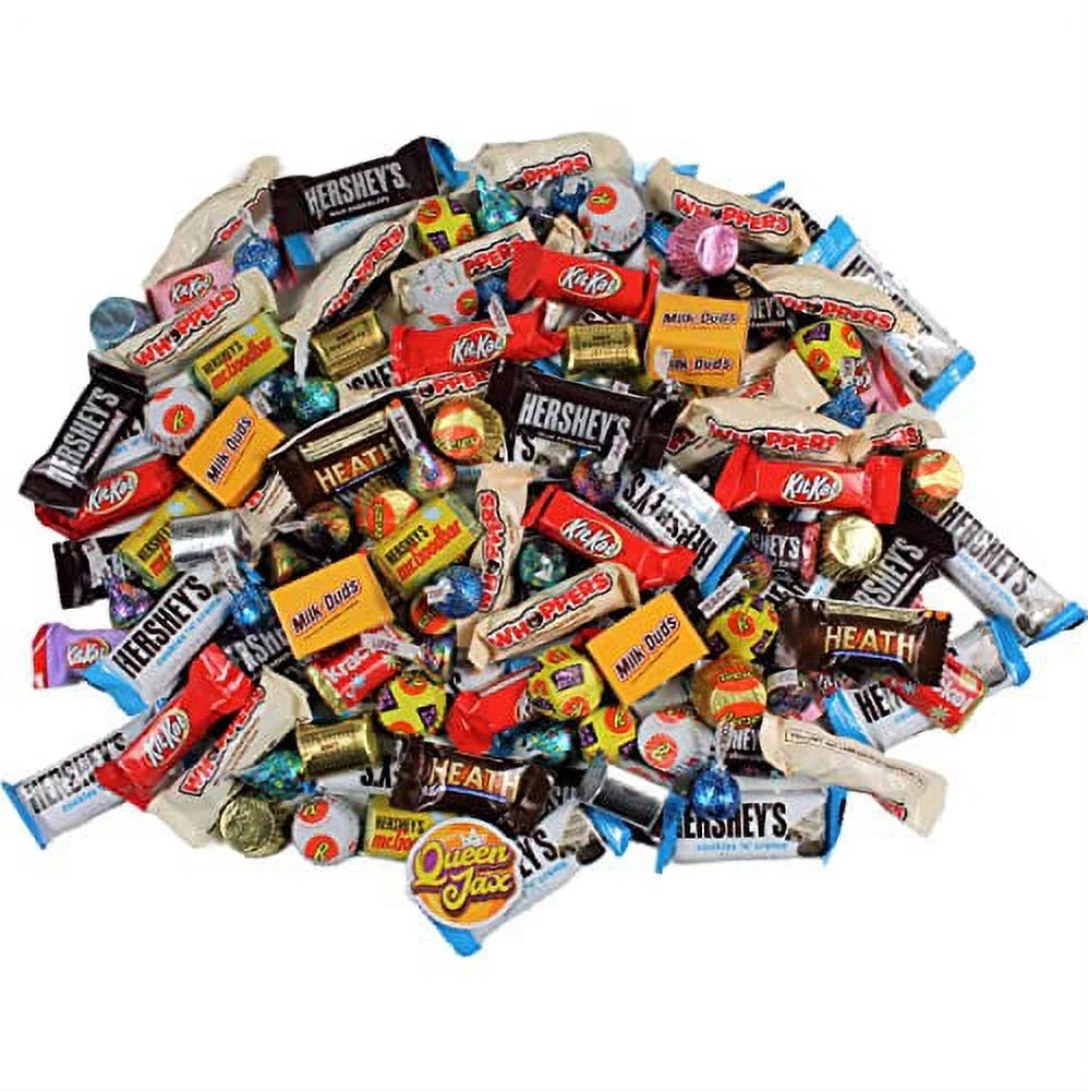 Assorted Chocolate Candy Variety Pack - 10 Lb Bulk Individually Wrapped Chocolate L334