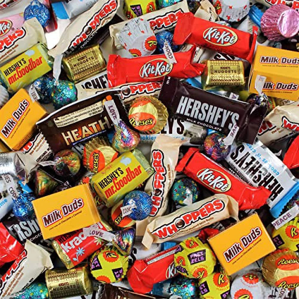 Assorted Chocolate Candy Variety Pack - 10 Lb Bulk Individually Wrapped Chocolate L334